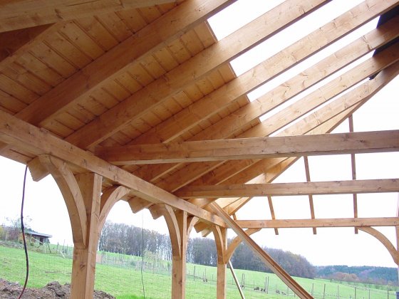 Carport Götz Hasenbach Bild 1