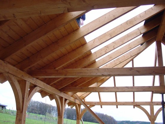 Carport Götz Hasenbach Bild 3