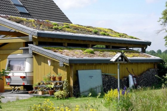 Dachbegrünung Carport, Neunkirchen (2000)