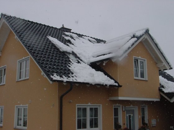 Schneeschutz_4