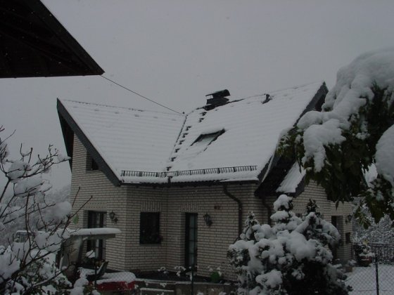 Schneeschutz_9