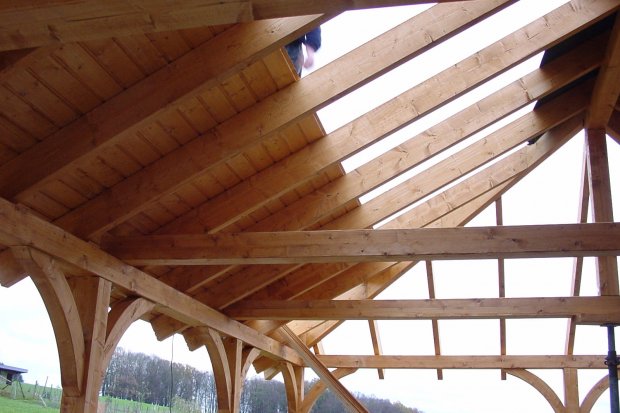 Carport Götz Hasenbach Bild 3